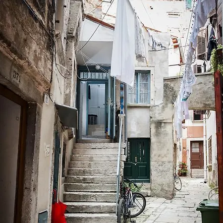 Art דירה רוביני